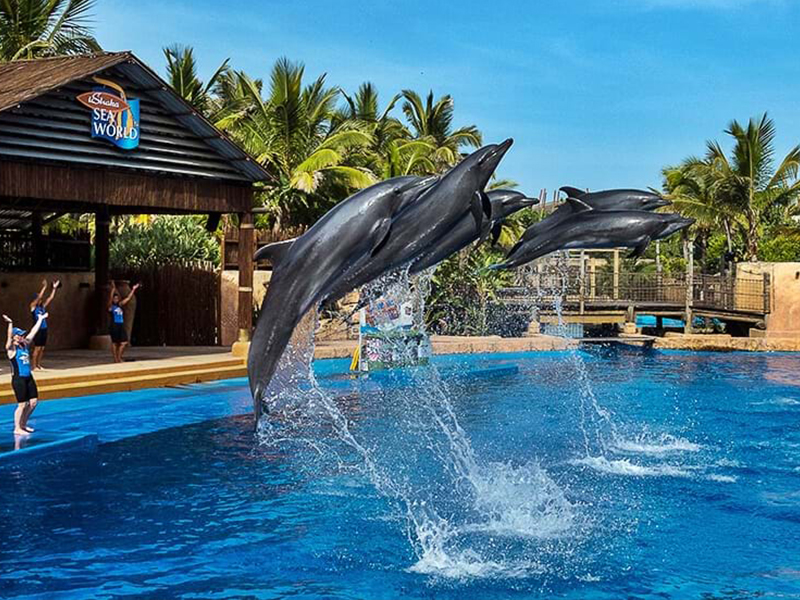 Discover the Wonders of uShaka Marine World: An Unforgettable Adventure in Durban